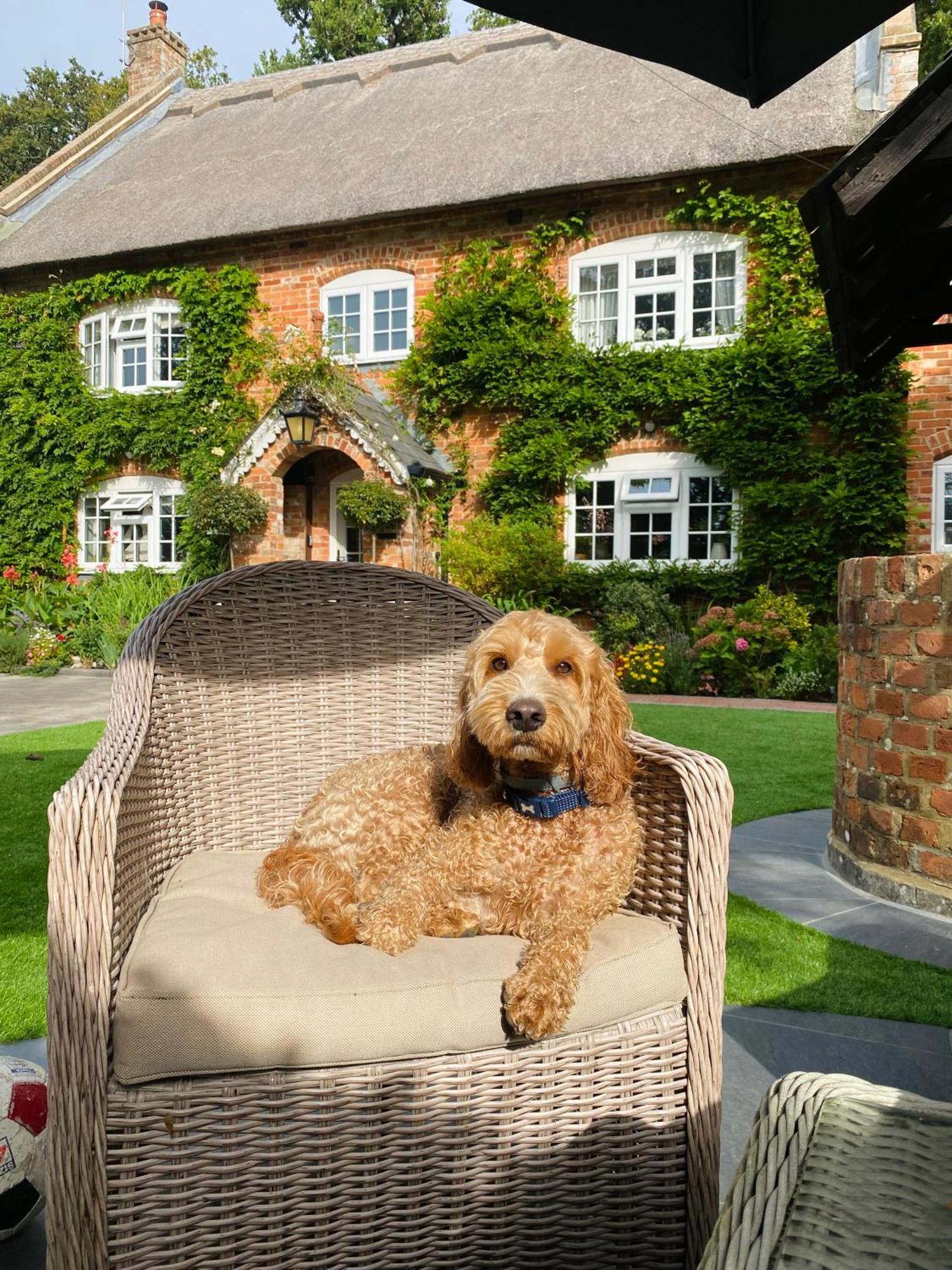 Little Woodside A Beautiful New Forest Self Contained Private Luxury Annexe New Milton Exterior foto